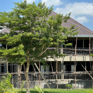 About Us epic seka process 1438